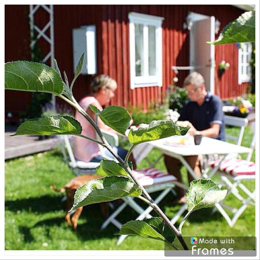 Bed and Breakfast Lavendeltorpet Haggum Exterior foto